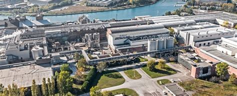 moretti trieste fabbrica cartiera